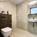 Rent 2 bedroom apartment of 53 m² in Plzeň