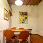 Rent 1 bedroom apartment of 55 m² in Florence