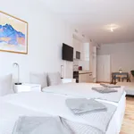 Miete 1 Schlafzimmer wohnung von 45 m² in Basel