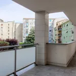 Rent 1 bedroom apartment in Milan