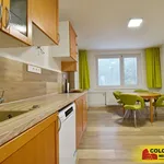 Rent 3 bedroom apartment of 58 m² in Brno