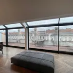 Rent 3 bedroom apartment of 300 m² in Budapest