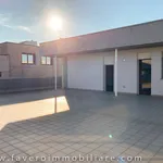 Rent 5 bedroom apartment of 179 m² in Padova