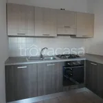 Rent 2 bedroom apartment of 60 m² in Novara