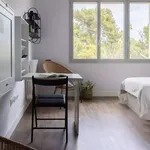 Alquilar 8 dormitorio apartamento en Barcelona