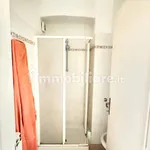 Rent 2 bedroom apartment of 45 m² in Turin