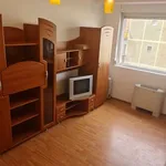 Rent 1 bedroom apartment of 35 m² in Timișoara