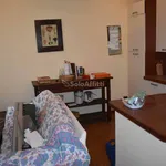 Rent 3 bedroom apartment of 80 m² in Rome