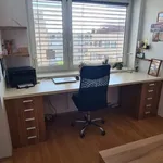 Rent 2 bedroom apartment of 57 m² in Brno