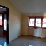 Rent 3 bedroom apartment of 75 m² in Cervaro