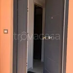 Rent 3 bedroom apartment of 77 m² in Ariccia