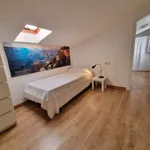 Alquilar 4 dormitorio apartamento en oviedo