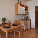 Rent 1 bedroom apartment of 33 m² in Prague