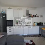 Rent 2 bedroom apartment of 76 m² in Lissone