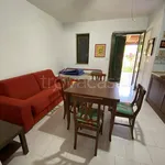 Rent 3 bedroom house of 80 m² in Carovigno