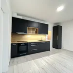 Rent 2 bedroom apartment in České Budějovice