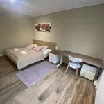 Pronajměte si 1 ložnic/e byt o rozloze 35 m² v Prague