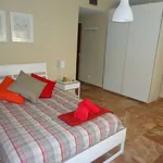 Rent a room of 100 m² in cordoba