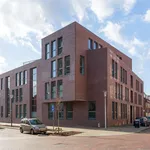 Huur 3 slaapkamer appartement van 120 m² in Philipsdorp