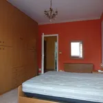 Rent 2 bedroom apartment of 50 m² in Bari