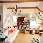 Rent 6 bedroom house of 300 m² in Prague