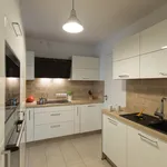 Rent 3 bedroom apartment of 75 m² in Munich