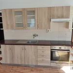 Rent 3 bedroom apartment of 78 m² in Sedlčany