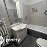 Rent 1 bedroom apartment in Nový Jičín