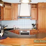 Rent 3 bedroom apartment of 80 m² in Capital City of Prague