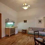 Rent 1 bedroom apartment of 46 m² in Prague