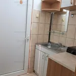 Rent 1 bedroom apartment of 21 m² in Timisoara