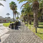 Casa/Chalet pareado En alquiler Avenida de Wind Surfing, San Agustín-Bahía Feliz, San Bartolomé de Tirajana