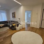 Rent 3 bedroom apartment of 85 m² in Triest