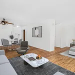 Rent 1 bedroom apartment in New York