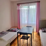 Rent 1 bedroom apartment of 15 m² in Pilsen