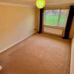 Rent 1 bedroom apartment in East Midlands