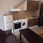 Rent 1 bedroom apartment of 40 m² in Южен