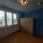 Pronajměte si 3 ložnic/e byt o rozloze 71 m² v Bor