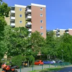 Rent 3 bedroom apartment of 81 m² in Berlin