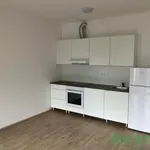 Rent 1 bedroom apartment of 34 m² in Brno