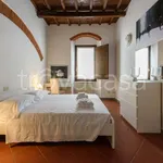 Rent 3 bedroom apartment of 80 m² in Firenze