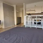 Rent 1 bedroom apartment of 30 m² in München