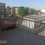 Rent 3 bedroom apartment of 110 m² in Caserta