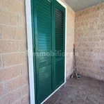 Rent 3 bedroom apartment of 105 m² in Foggia