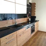 Rent 3 bedroom apartment of 72 m² in szczecin