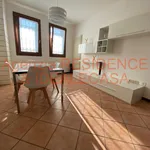 Rent 1 bedroom apartment of 50 m² in Padova