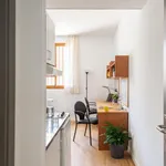 Alquilo 4 dormitorio apartamento de 19 m² en Seville