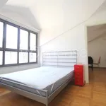 Rent 2 bedroom apartment of 40 m² in Milano