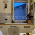 Rent 3 bedroom apartment of 140 m² in Lucca