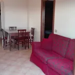 Rent 4 bedroom house of 110 m² in Velletri